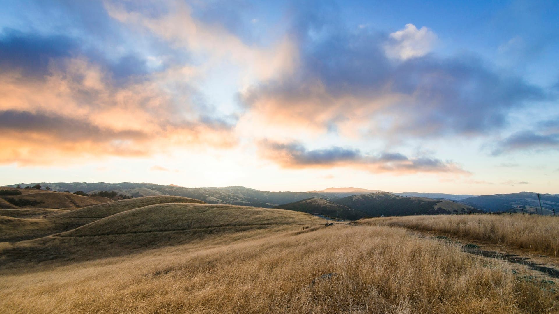 Golden rolling pasture hills under a soft sunset sky with dramatic clouds