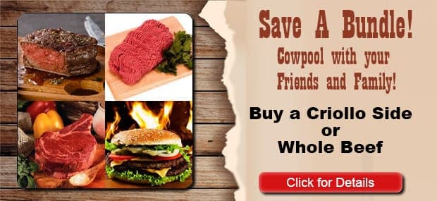 American Criollo Beef Alliance — pasture-raised beef producer in Winters, Texas