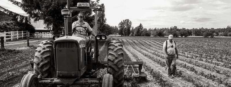 Andrew's Hay — pasture-raised beef producer in Arlington, Washington