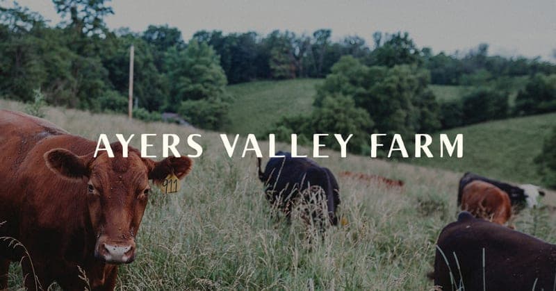 Ayers Valley Farm — pasture-raised beef producer in Russellville, Ohio