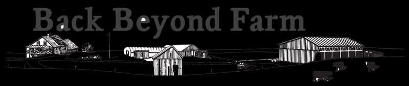 Back Beyond Farm — pasture-raised beef producer in Chelsea, Vermont