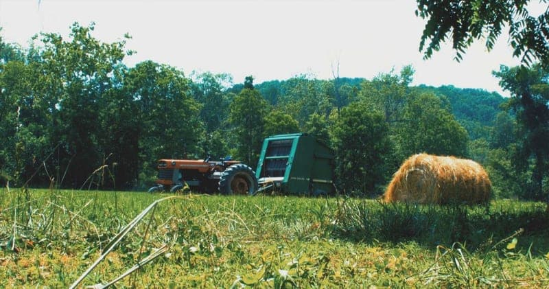 Back Creek Bend Farm — pasture-raised beef producer in Hedgesville, West Virginia