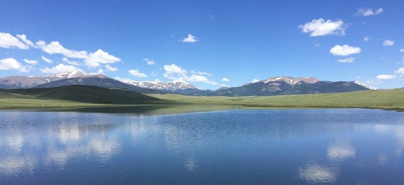 Bar Star Ranch — pasture-raised beef producer in Como, Colorado