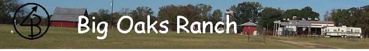 Big Oaks Ranch — pasture-raised beef producer in Kilgore, Texas