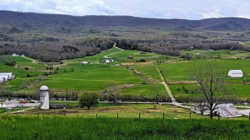 Black Diamond Ranch, LLC — pasture-raised beef in New Castle, VA