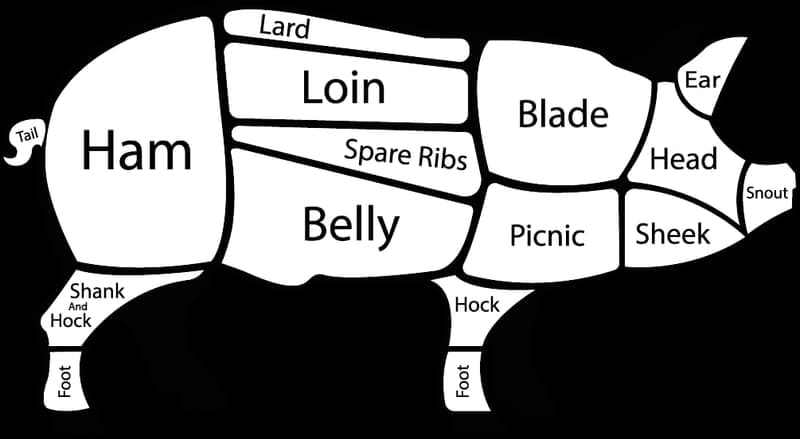 Black Hills Beef — pasture-raised beef producer in Spearfish, South Dakota