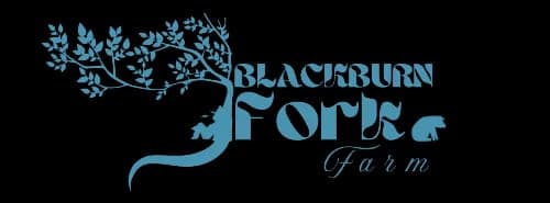 Blackburn Fork Farm — pasture-raised beef producer in Oneonta, Alabama
