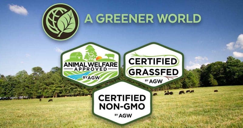 Blue Bear Farm & Cattle Co., LLC — pasture-raised beef producer in Florida