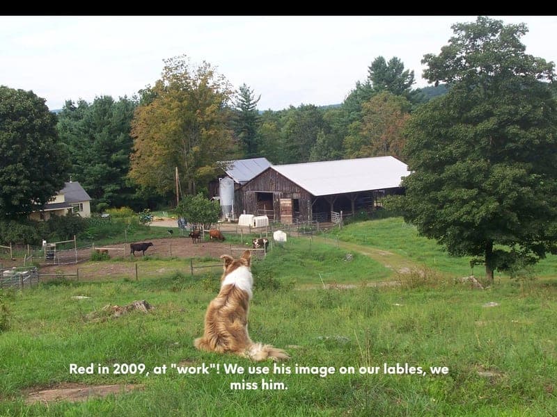 Brookfield Farm — pasture-raised beef producer in Walpole, New Hampshire