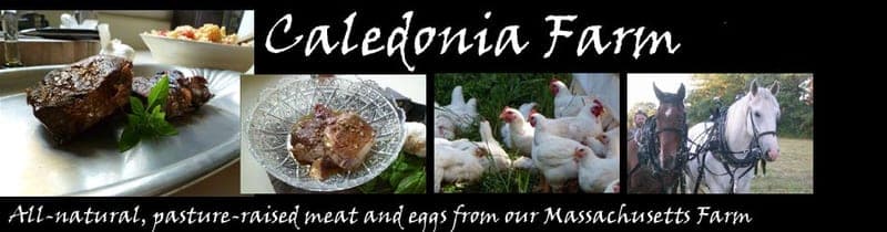 Caledonia Farm — pasture-raised beef producer in Barre, Massachusetts