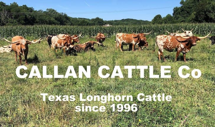 Callan Cattle Co — pasture-raised beef producer in Newark, Ohio