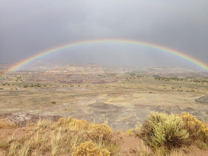 Carruth Cattle — pasture-raised beef producer in Bloomfield, New Mexico