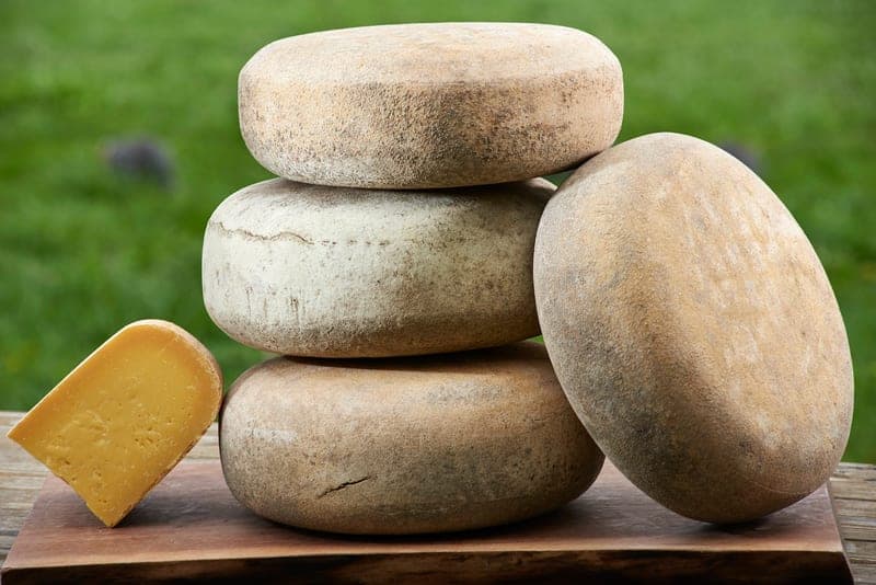 Cherry Grove Farm — pasture-raised beef producer in Lawrenceville, New Jersey