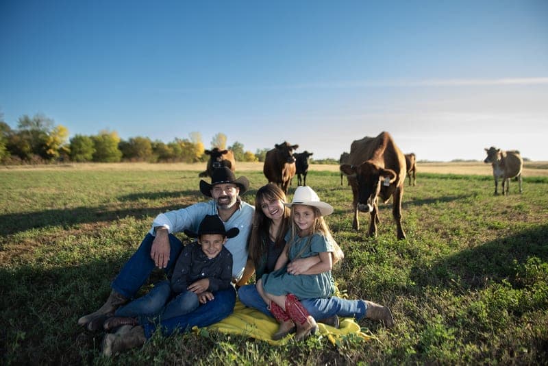 Cottonwood Hill Farms — pasture-raised beef in McClelland, IA
