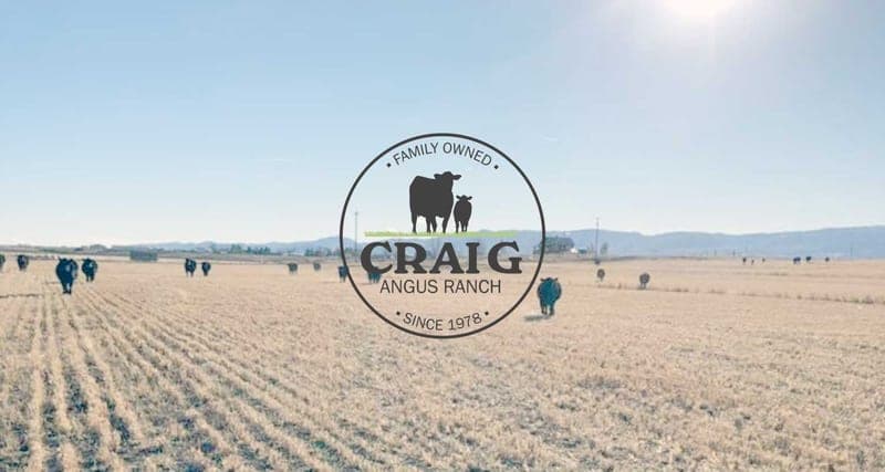 Craig Angus Ranch — pasture-raised beef producer in Fort Collins, Colorado