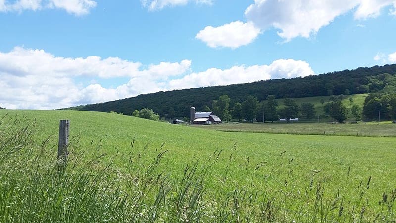 Creekside Meadows Farm — pasture-raised beef producer in New Woodstock, New York