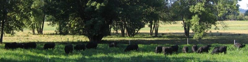 Crooked Gate Ranch, LLC — pasture-raised beef producer in Monroe, Oregon