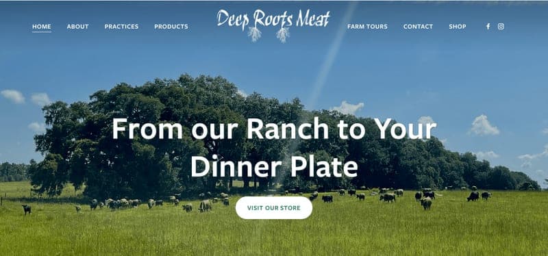 Deep Roots Meat, LLC — pasture-raised beef producer in Greenville, Florida