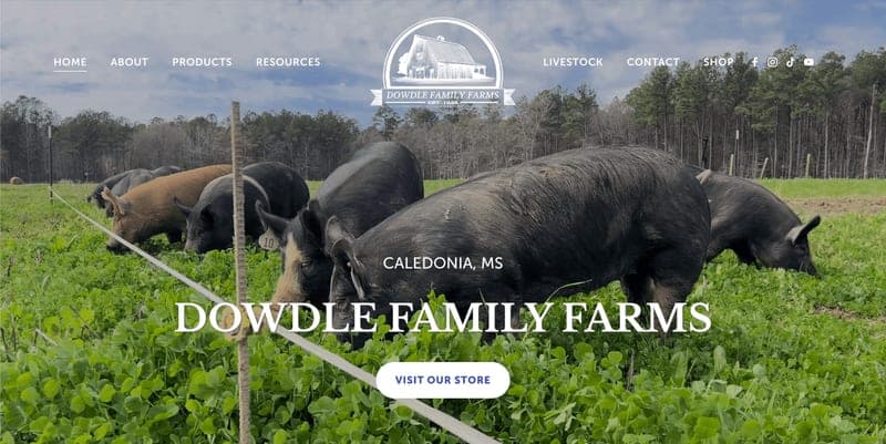 Dowdle Family Farms — pasture-raised beef in Caledonia, MS