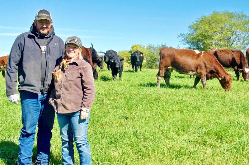 Ebersole Cattle Co — pasture-raised beef in Kellerton, IA
