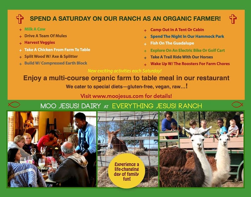 Everything Jesus! Ranch — pasture-raised beef producer in Seguin, Texas