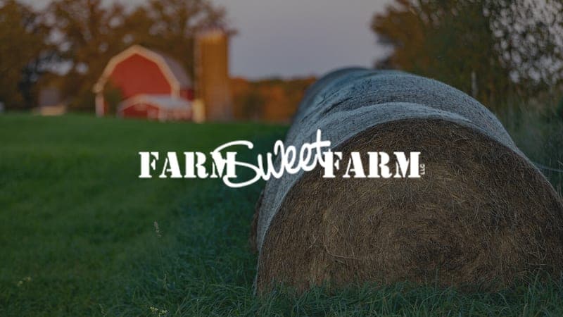 Farm Sweet Farm — pasture-raised beef producer in Cadott, Wisconsin