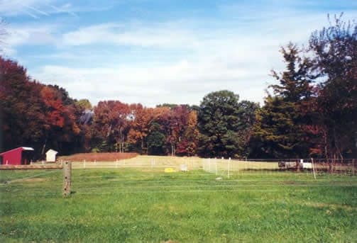 Farview Farm — pasture-raised beef producer in Flemington, New Jersey