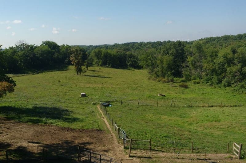 Fidé Farm And Dairy — pasture-raised beef producer in Toronto, Ohio