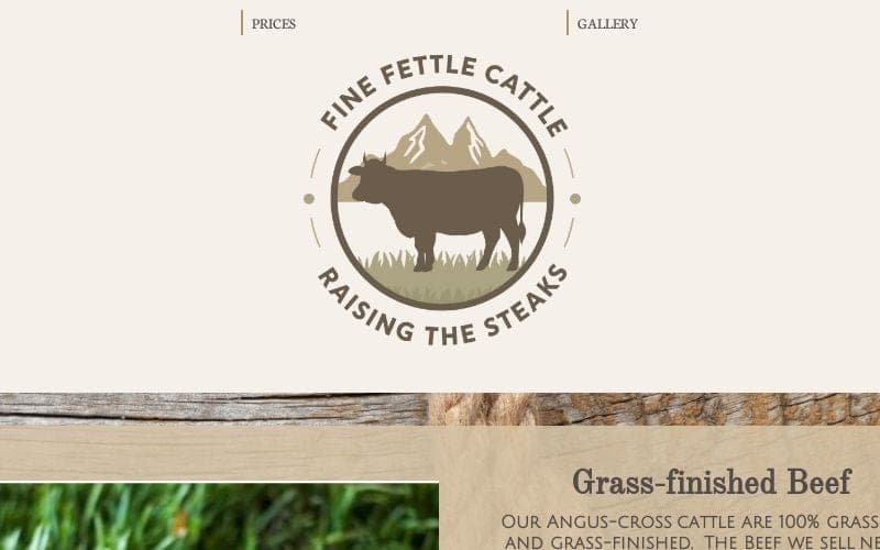 Fine Fettle Cattle Company — pasture-raised beef in Silver Cliff, CO