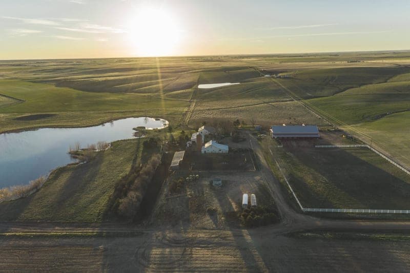 Flying B Bar Ranch — pasture-raised beef producer in Strasburg, Colorado