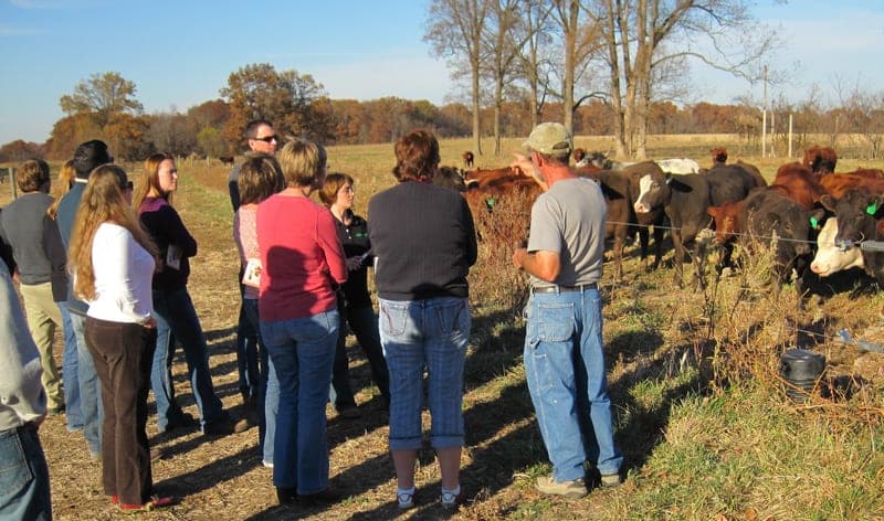 Flying S — pasture-raised beef producer in Palestine, Illinois