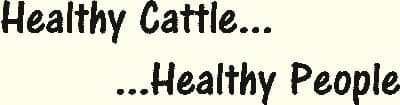 Forest Cattle Company — pasture-raised beef producer in Snohomish, Washington