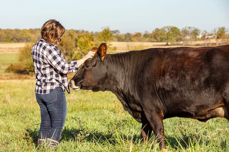 FreshORR Family Farms — pasture-raised beef producer in Rushville, Ohio