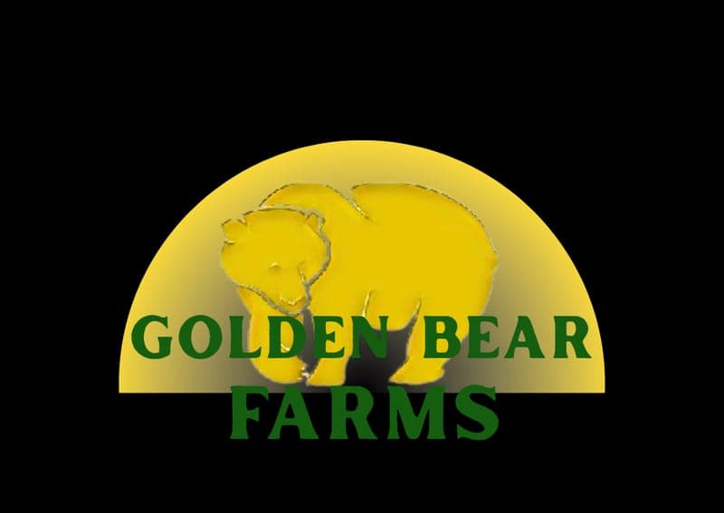 Golden Bear Farm — pasture-raised beef in Kiel, WI
