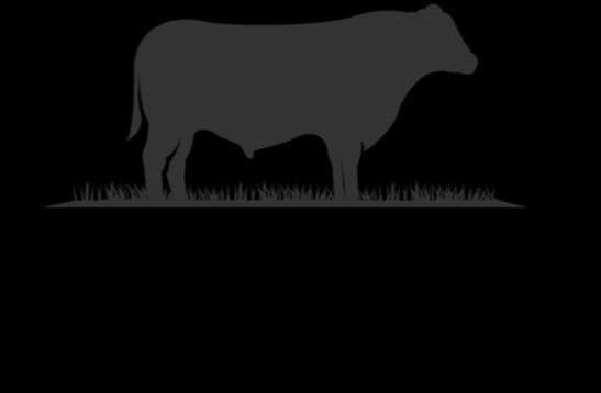 Good Hope Farmstead — pasture-raised beef producer in Woodsboro, Maryland