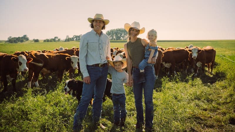 Grand View Beef — pasture-raised beef producer in Clarion, Iowa