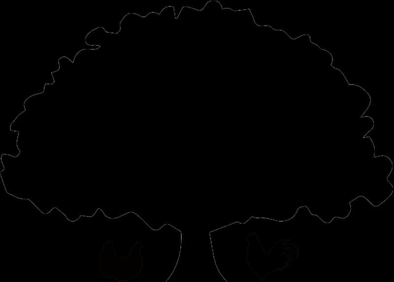 Granddaddy's Farm — pasture-raised beef producer in Ocilla, Georgia