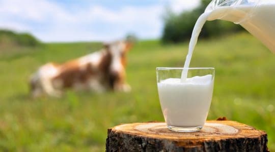 Grass Corp — pasture-raised beef producer in Leopold, Indiana