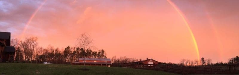 Grateful Acres Farm — pasture-raised beef in Hurdle Mills, NC