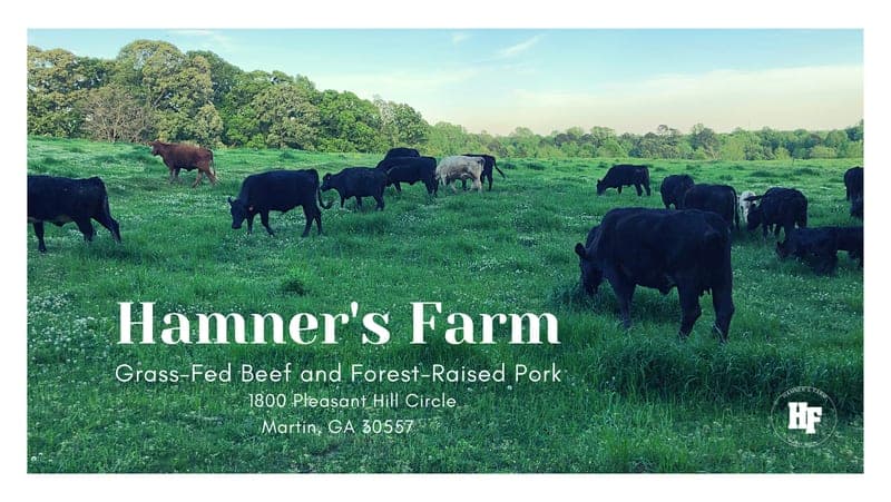 Hamner's Farm — pasture-raised beef producer in Athens, Georgia