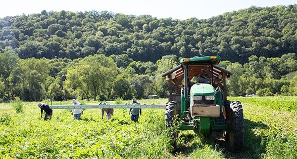 Harmony Valley Farm — pasture-raised beef producer in Viroqua, Wisconsin