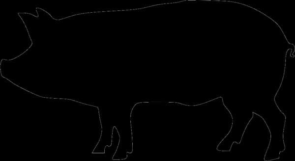 HD Beef Works — pasture-raised beef producer in Northfield, Minnesota