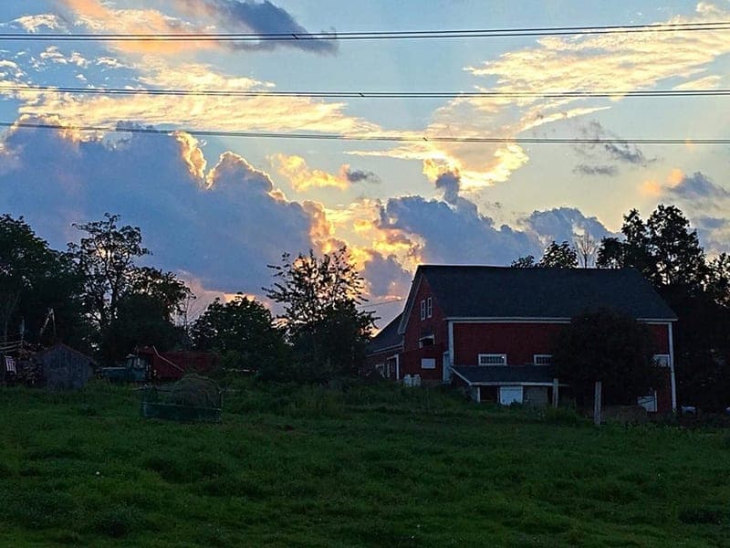 Hickory Hill Farm — pasture-raised beef producer in Strafford, New Hampshire