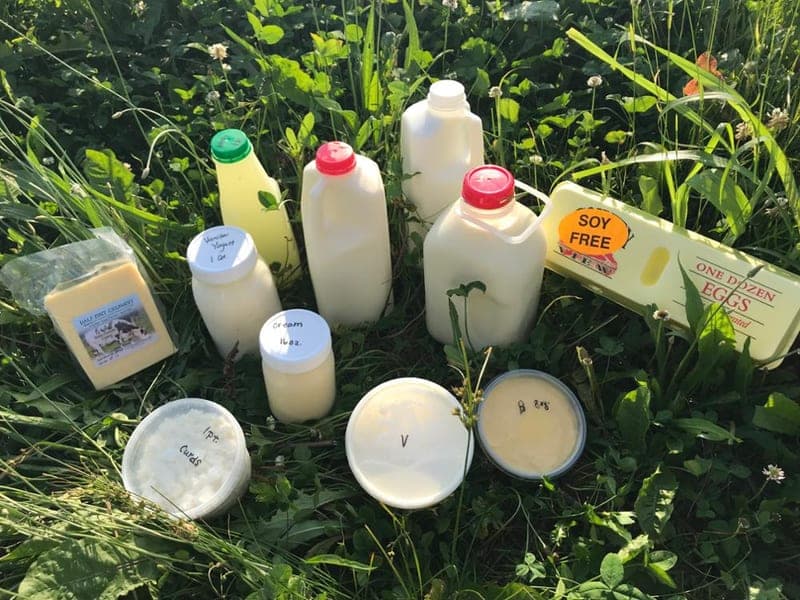 Highland Haven Farms — pasture-raised beef producer in Hillsboro, Ohio