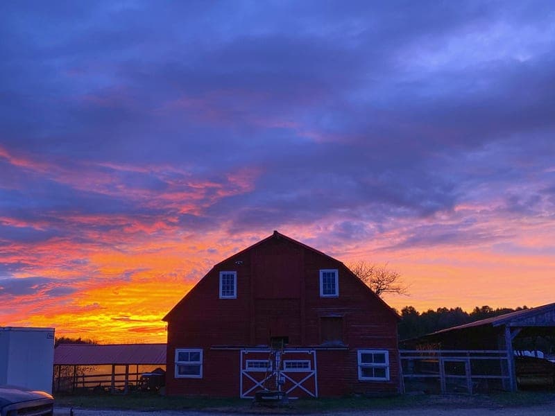 Holiday Brook Farm — pasture-raised beef producer in Dalton, Massachusetts