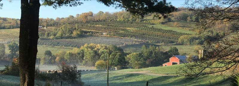 Hollin Farm — pasture-raised beef in Delaplane, VA