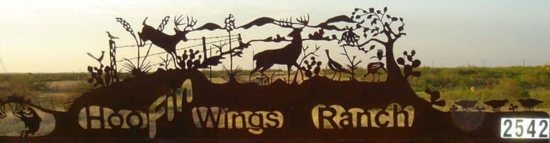 HooFin Wings Ranch — pasture-raised beef producer in Ft. Worth, Texas