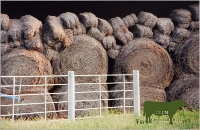jjjmgrassfedbeef.com — pasture-raised beef producer in Celina, Texas