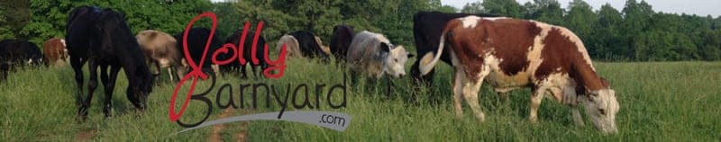 Jolly Barnyard — pasture-raised beef producer in Lewisburg, Tennessee