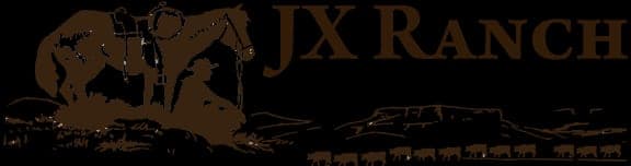 JX Ranch Natural Beef — pasture-raised beef producer in Tucumcari, New Mexico